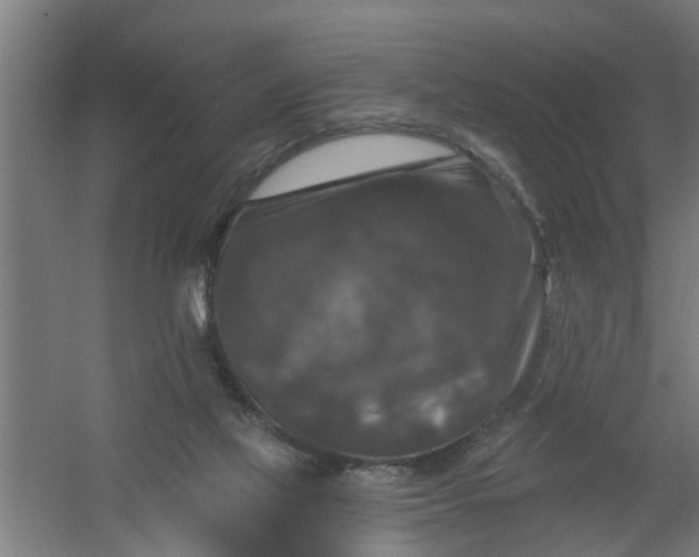 X0000059840069200511041824