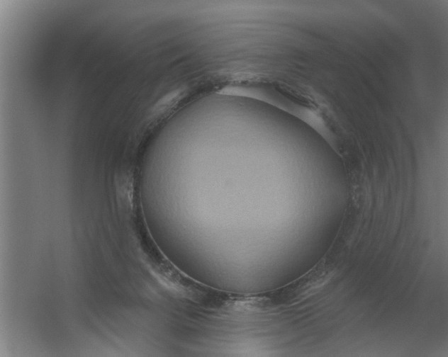 X0000059840072200511041824