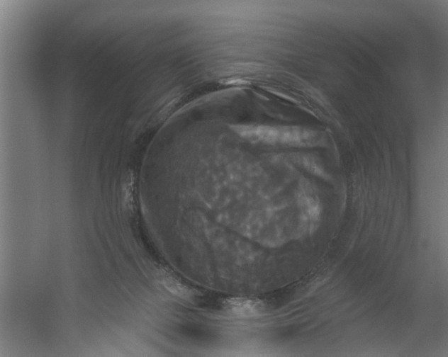 X0000059840073200511041824