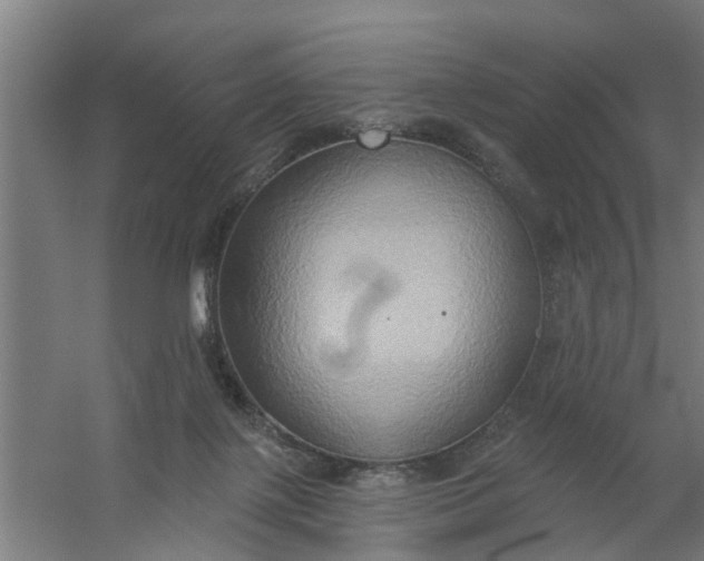 X0000059840075200511041824