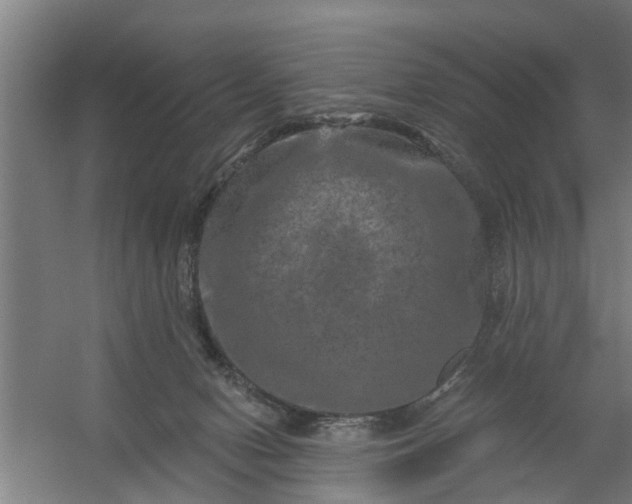 X0000059840078200511041824