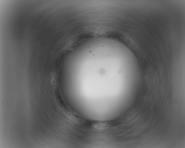 X0000059840079200511041824