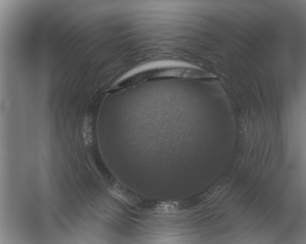 X0000059840080200511041824