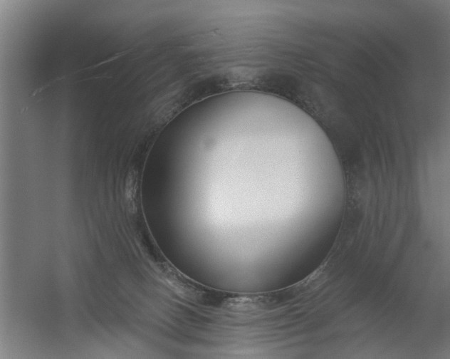 X0000059840082200511041824