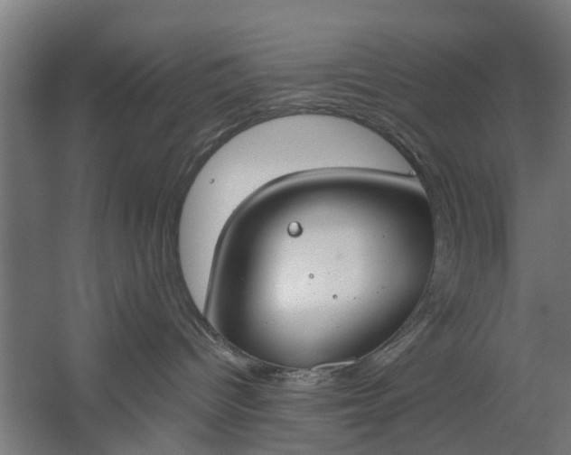 X0000059840096200511041824