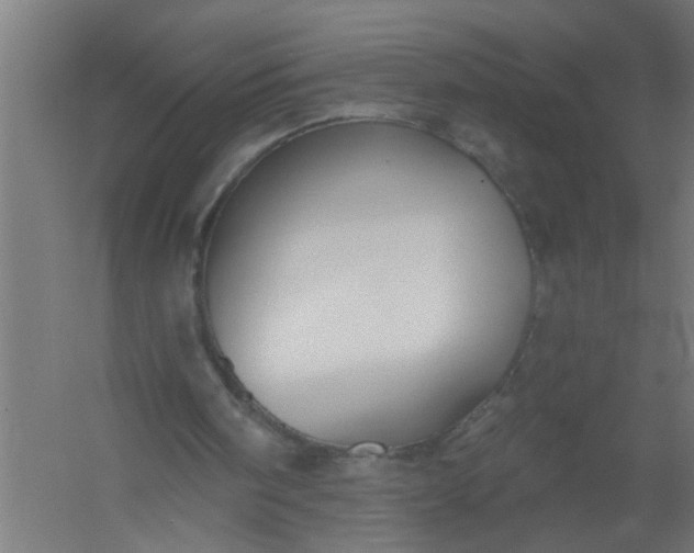 X0000059840098200511041824