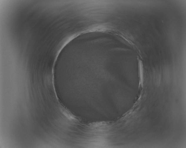 X0000059840100200511041824