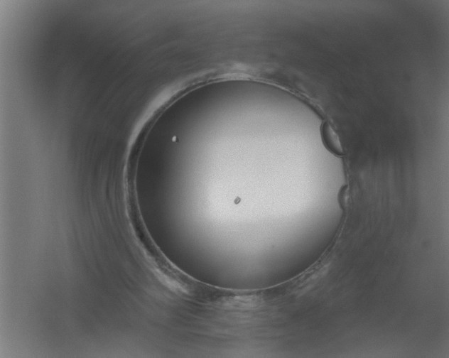 X0000059840102200511041824