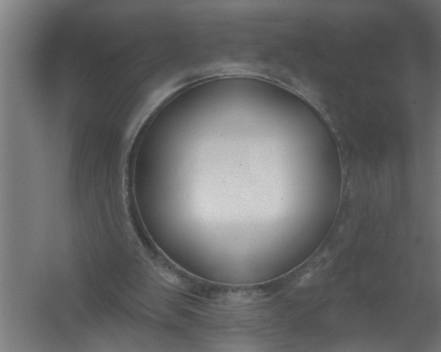 X0000059840103200511041824