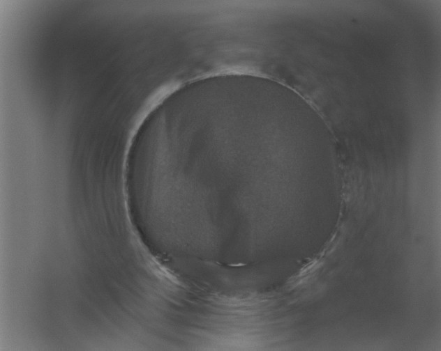 X0000059840104200511041824