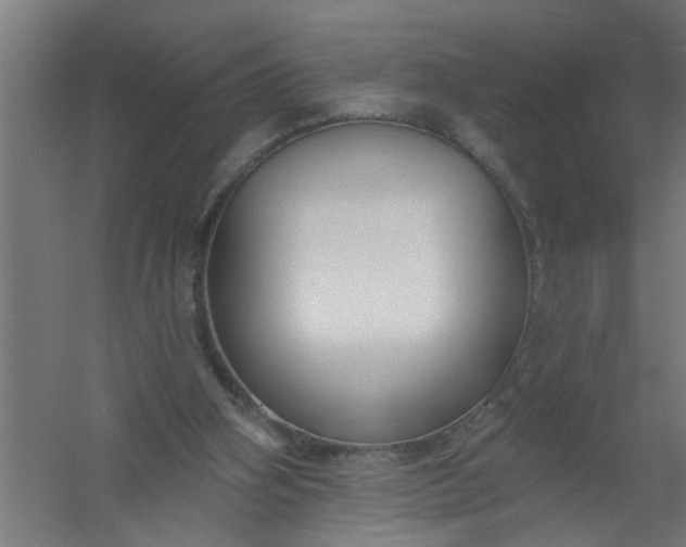 X0000059840106200511041823