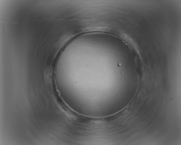 X0000059840107200511041823