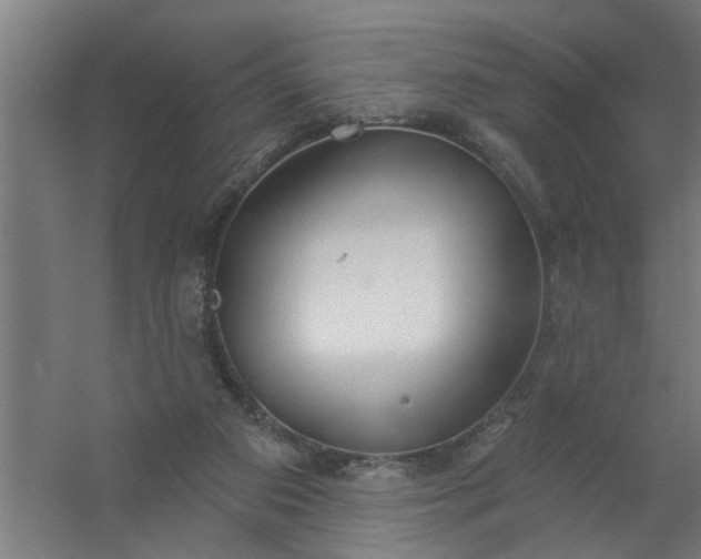 X0000059840113200511041823