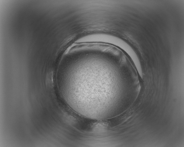 X0000059840115200511041823