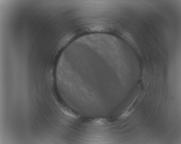 X0000059840116200511041823