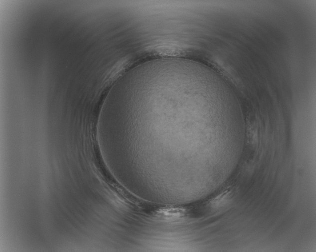 X0000059840117200511041823