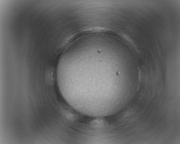 X0000059840119200511041823