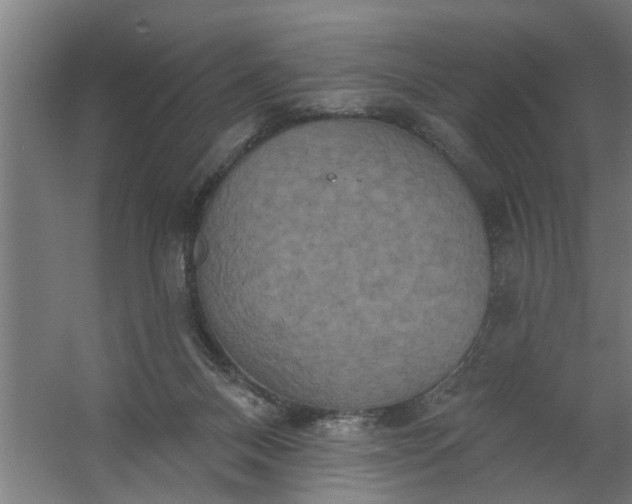 X0000059840120200511041823