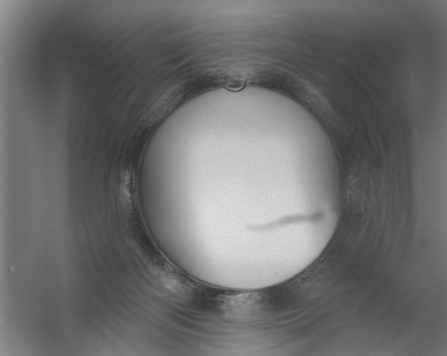 X0000059840122200511041823