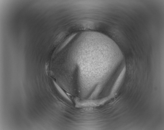 X0000059840123200511041823