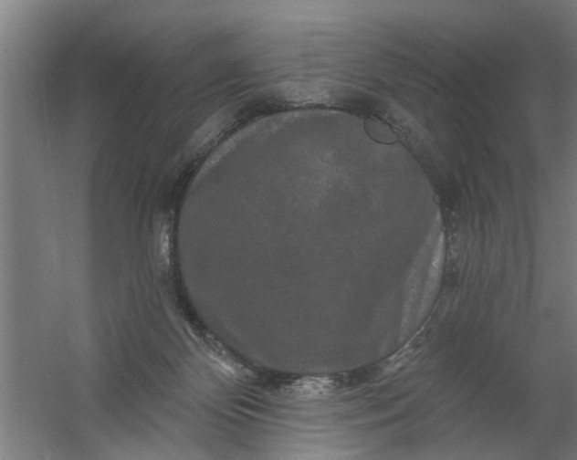 X0000059840124200511041823