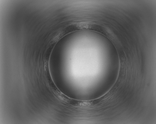 X0000059840125200511041823