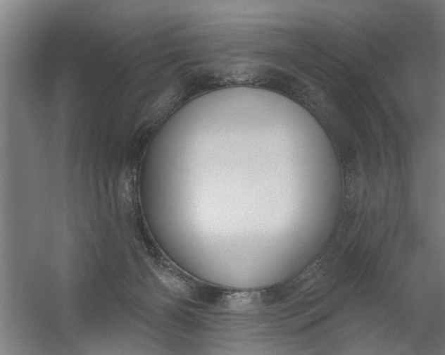 X0000059840126200511041823