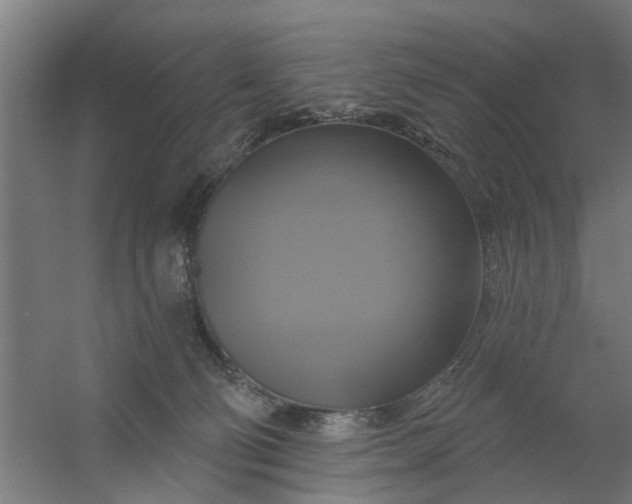 X0000059840130200511041823