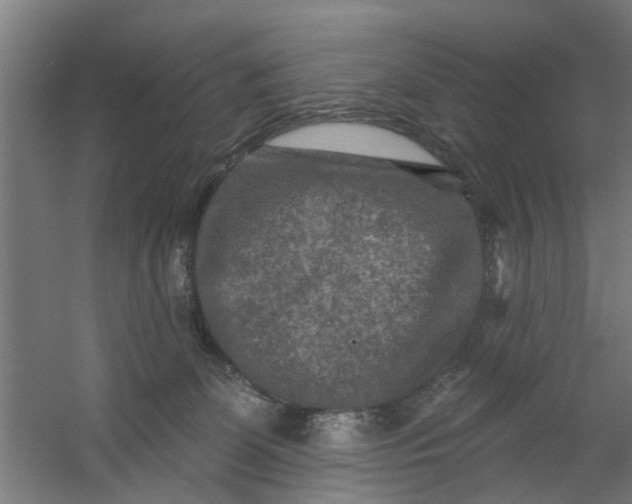 X0000059840131200511041823