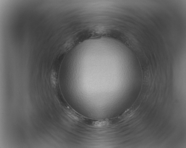 X0000059840135200511041823