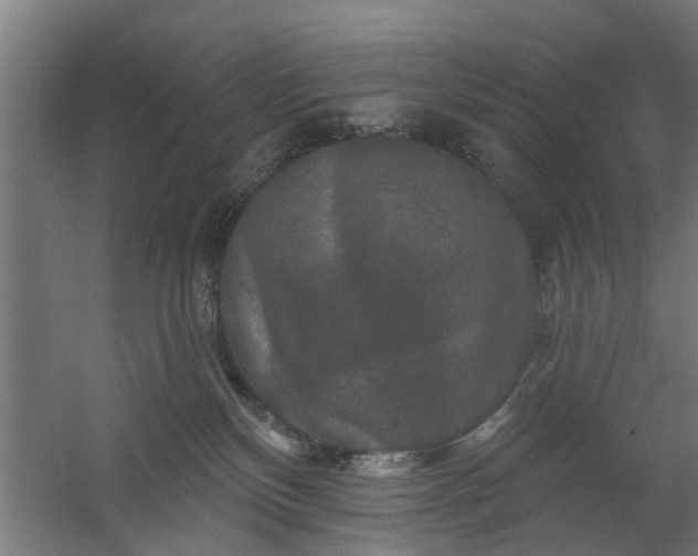 X0000059840136200511041823