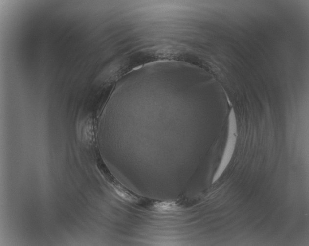 X0000059840137200511041823