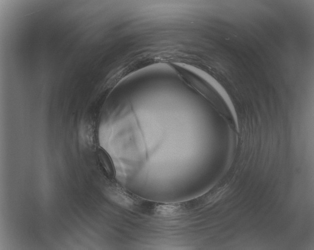 X0000059840139200511041823