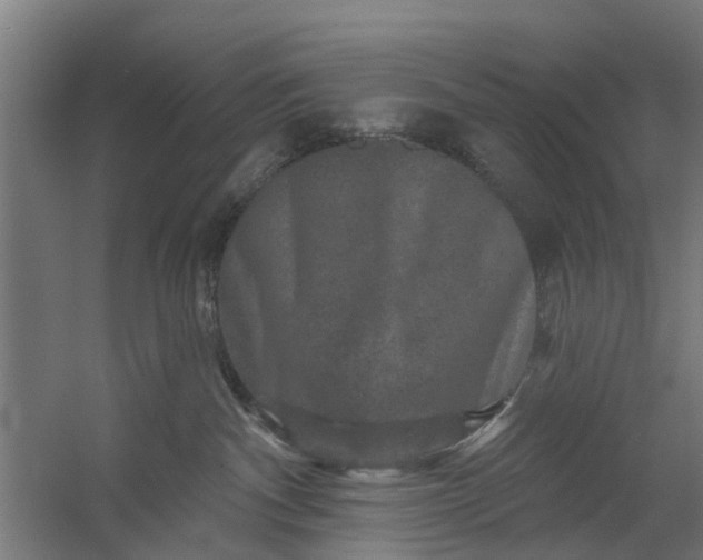 X0000059840140200511041823