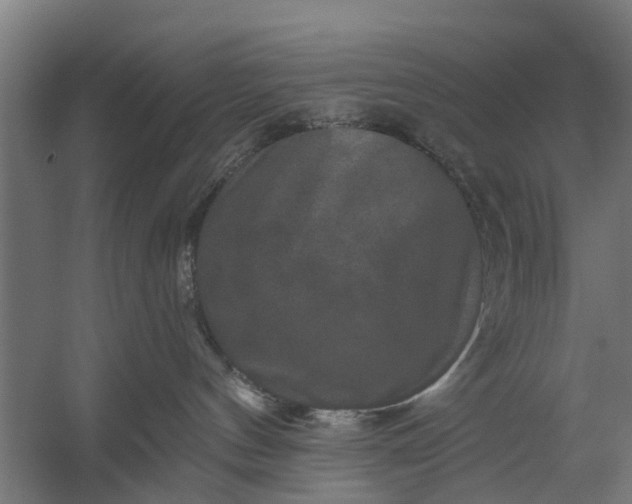 X0000059840144200511041823