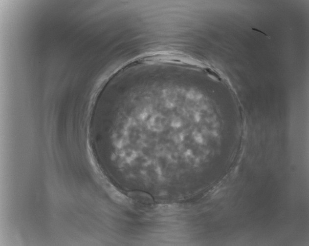 X0000059840145200511041822