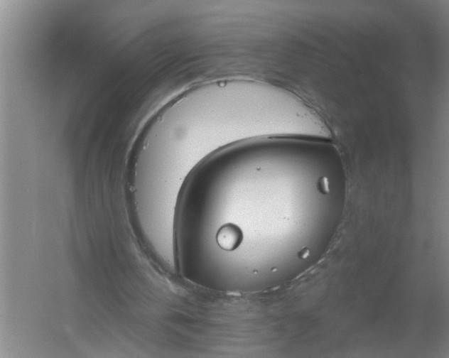 X0000059840146200511041822