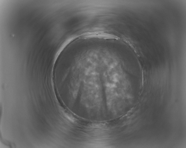 X0000059840147200511041822