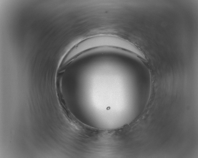 X0000059840148200511041822