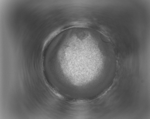 X0000059840149200511041822