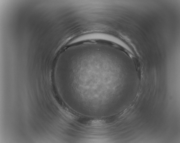 X0000059840154200511041822