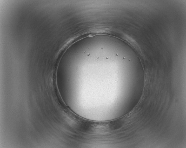 X0000059840155200511041822