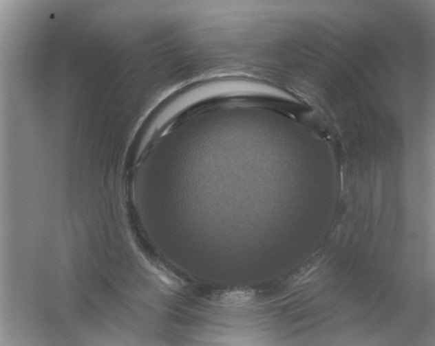 X0000059840156200511041822