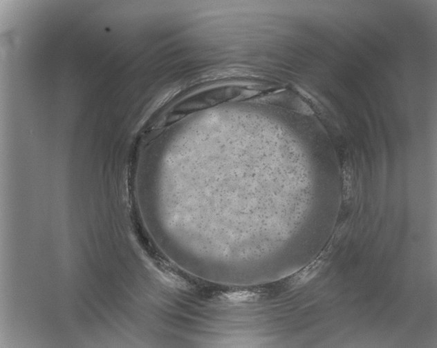 X0000059840158200511041822