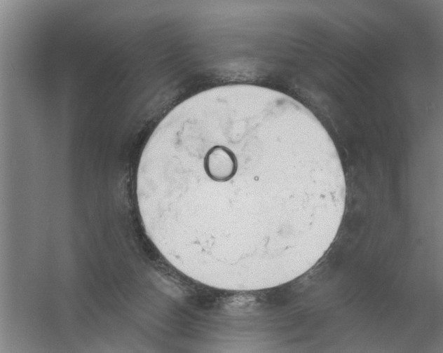 X0000059840162200511041822