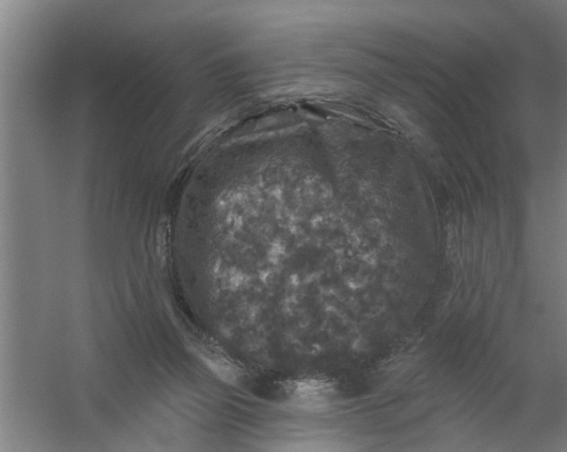 X0000059840165200511041822