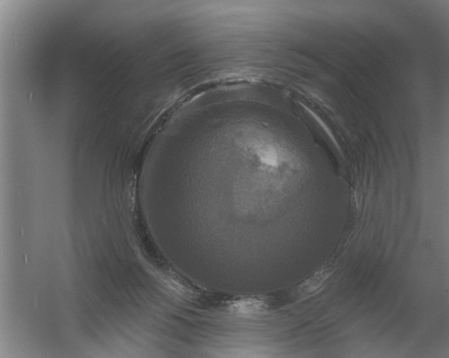 X0000059840168200511041822