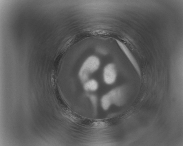 X0000059840169200511041822