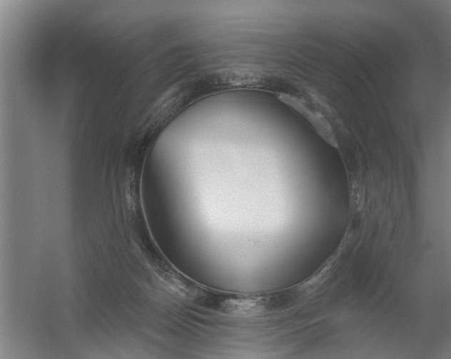 X0000059840170200511041822