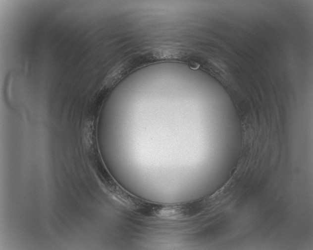 X0000059840171200511041822